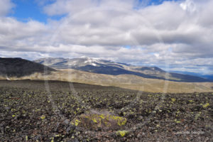 Isabelle-desalos-realisatrice-paris