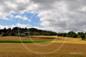 Isabelle-desalos-realisatrice-paris