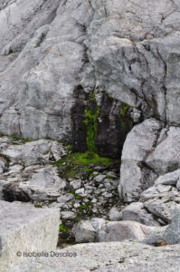 Isabelle-desalos-realisatrice-paris