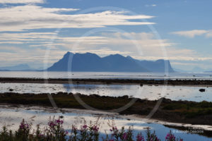 Isabelle-desalos-realisatrice-paris